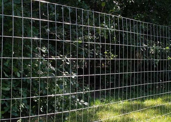Lớp rào thép hàn galvanized với kích thước lưới 2-in x 4-in