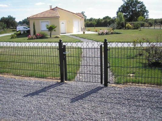 Prestige Mesh 868 Double Wire hàng rào 50 × 200mm Cho trang trí