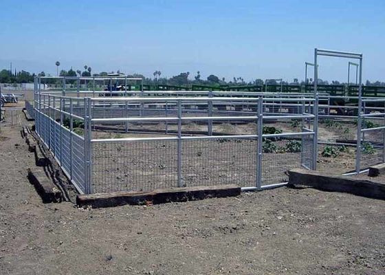 Phòng chăn dây hàn khung với sức mạnh và an toàn cao
