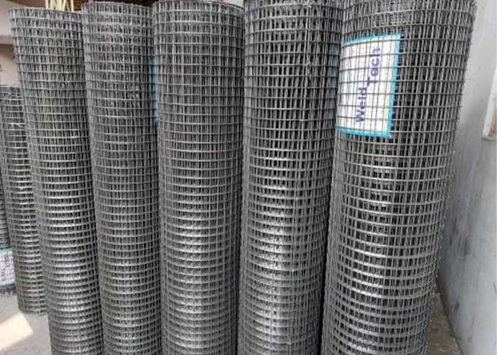 GBW Mesh
