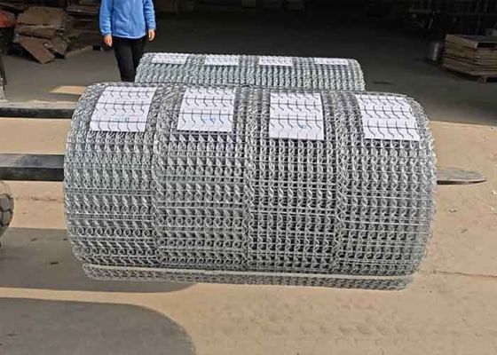 10 Dòng dây thép ống dẫn dầu galvanized gia cố hàn lưới dây cho nước ngoài