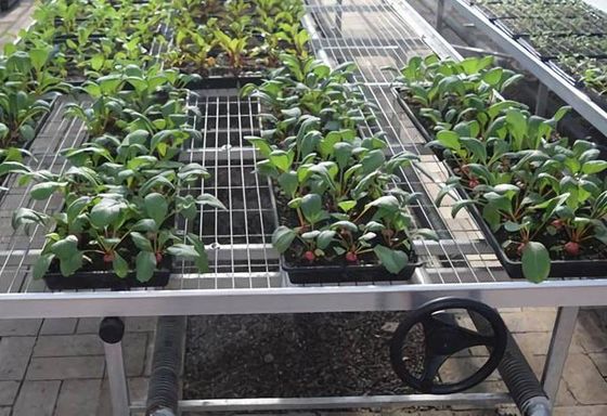 Lưới thép hàn 3 × 3 mm của nhà kính Khả năng chịu tải cao và luồng không khí
